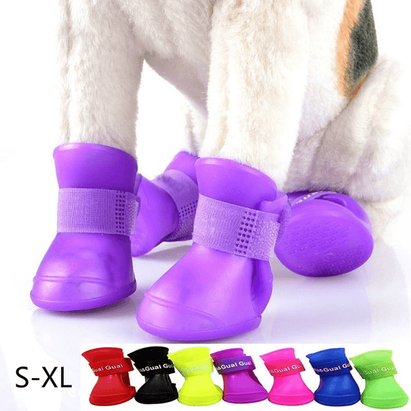 Sapatos e capas de chuva para Pets - Acheiweb